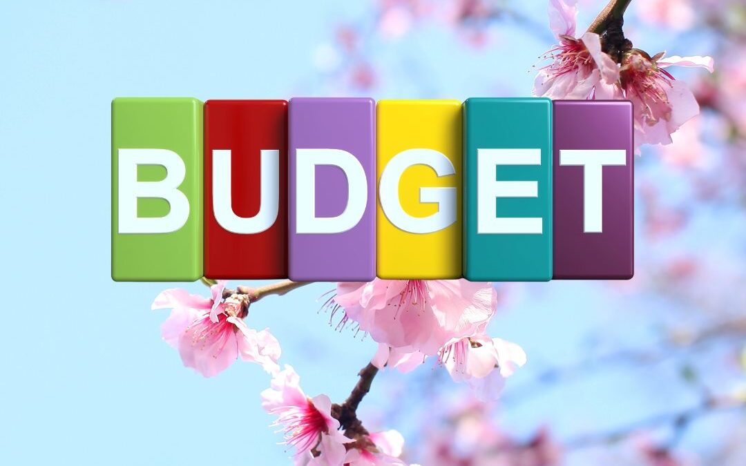 Budget Surprises
