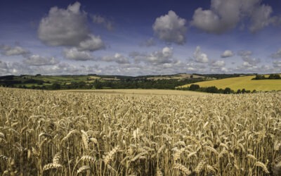 Changes to Agricultural Property Relief (APR) and Business Property Relief (BPR)