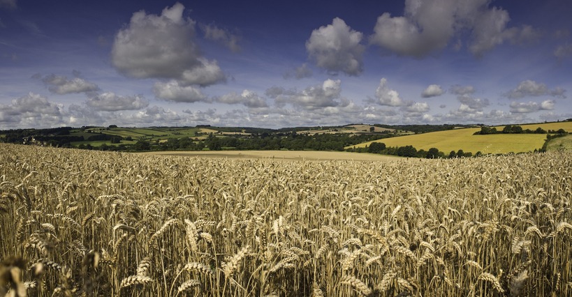 Changes to Agricultural Property Relief (APR) and Business Property Relief (BPR)